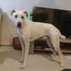 Wer zeigt dem süßen Yuri das Leben?