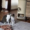 Die Brüder Tito und Toto Fiv+, unser DreamTeam