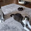 Die Brüder Tito und Toto Fiv+, unser DreamTeam