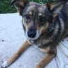Lilly - Mensch mit Geduld gesucht