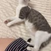 Wendy & Jenny Traumpärchen sucht Traumzuhause