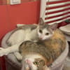 Wendy & Jenny Traumpärchen sucht Traumzuhause