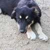 Bea S wünscht sich ein eigenes Körbchen