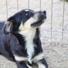 Bea S wünscht sich ein eigenes Körbchen