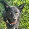Onyx, so ein Charmeur