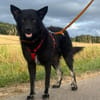 Onyx, so ein Charmeur