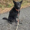 Onyx, so ein Charmeur