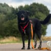 Onyx, so ein Charmeur