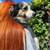 Mary  eine kleine, zarte Seele sucht ihr Zuhause