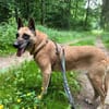RUBY in 91616 Neusitz