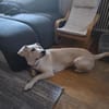 Mylo auf der Suche nach seinem Glück
