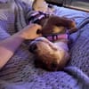 Besondere Vicky sucht ihre Menschen