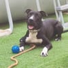 THOR (Hogar de paz)
