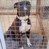 THOR (Hogar de paz)