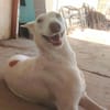 NUT (Hogar de paz)