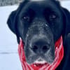 Jake Sully sucht seine eigene Familie