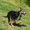Maddie - kleine Zaubermaus sucht ihr Glück
