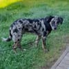 lernwilliger JERRY sucht seine Menschen