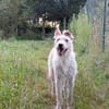 Ruby- bezaubernde Frohnatur mit ganz viel Herz