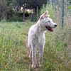 Ruby- bezaubernde Frohnatur mit ganz viel Herz