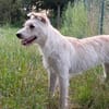 Ruby- bezaubernde Frohnatur mit ganz viel Herz