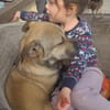 Kleine FEE sucht ihr Zuhause