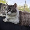 TOBBY