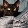 LUMO