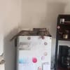 Artie 1 jahr such zuhause mit ruhe und geduld
