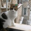 Moritz ist auf der Suche nach einem liebevollen Zuhause
