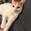 Copper & Monchi -  Dreamteam sucht seine Familie