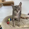 ZOE