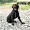Luxina sucht ihre Lieblingsmenschen...