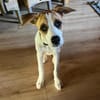 Cody- kleiner Knirps, großer Charakter
