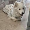 Über Mimi die Rolli-Rakete