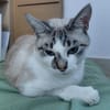 Lumi