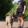 Gena - ein Herz aus Gold wartet hinter dem Tierheimgitter.