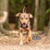 SPIKE
