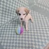 Kleiner Zuckerschock gefällig? Hier kommt Hailey!