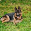 Aktiver, sportlicher Hero sucht Familie
