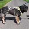 Kadim 45 cm Pflegestelle