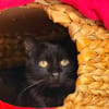 NOUGATI en SOS