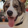 DUDLEY (Martina)