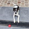 MAÏLO
