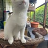 Joshi & Lucky  gemeinsam ins Für-immer-Zuhause