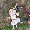 Soziale GINA liebt die Menschen ♥PLZ 64807