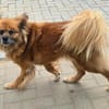 Elly sucht dringend ihre eigene Familie