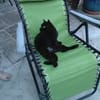 MINOU