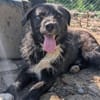Kalle sucht sein Happyend