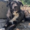 Kalle sucht sein Happyend